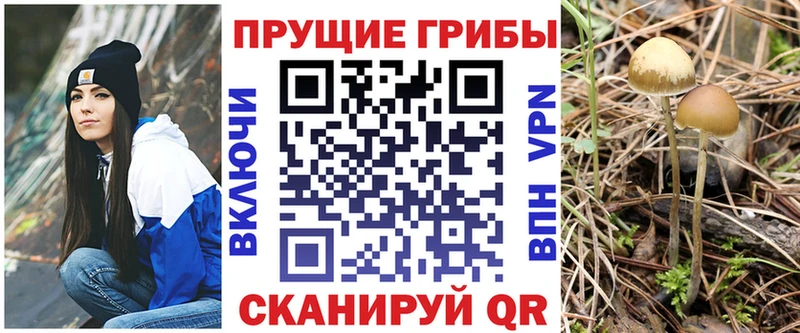 Псилоцибиновые грибы MAGIC MUSHROOMS  Фурманов 