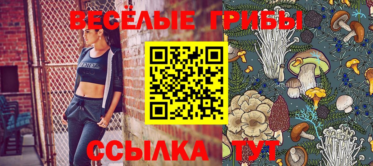 Псилоцибиновые грибы прущие грибы Фурманов
