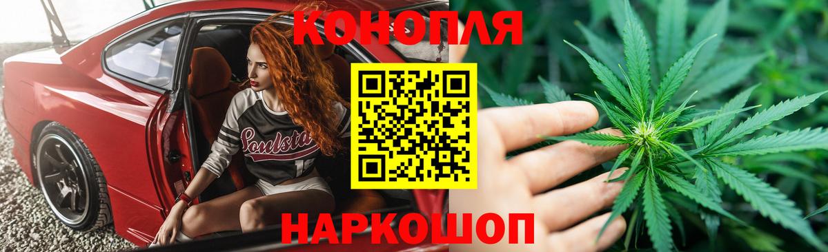 Конопля ГИДРОПОН  Канабис MAZAR  Фурманов  Каннабис Amnesia 